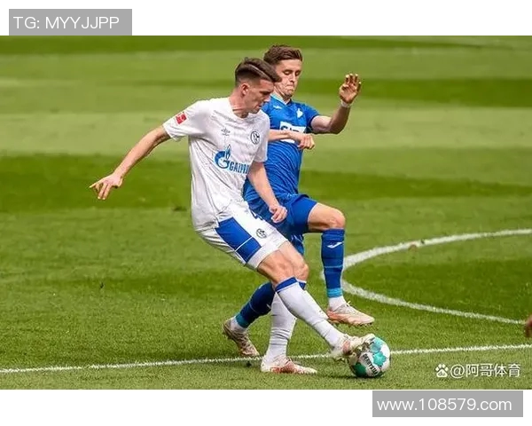 霍芬海姆主场轻取沙尔克,喜获胜利舞台上的胜利!