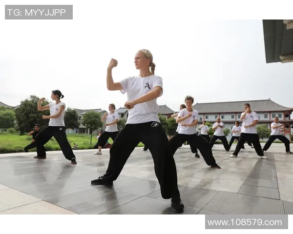 探索河南陈家沟的太极文化与传统武术魅力之旅